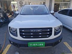 Great Wall Dachshund 2.0T DCT Four-wheel Drive Howling Heavenly Dog Edition - ფოტო 3