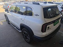 Great Wall Dachshund 2.0T DCT Four-wheel Drive Howling Heavenly Dog Edition - ფოტო 5