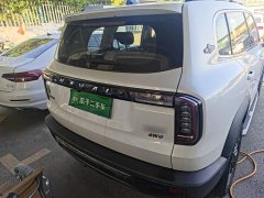 Great Wall Dachshund 2.0T DCT Four-wheel Drive Howling Heavenly Dog Edition - ფოტო 6