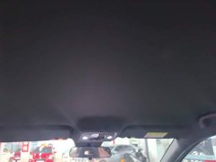 BYD Seagull Smart Drive 305km Vitality Edition - ფოტო 18