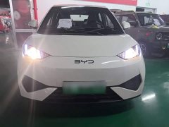 BYD Seagull Smart Drive 305km Vitality Edition - ფოტო 3