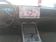 BYD Dolphin 2023 DM-i 1.5T 121km Premier - ფოტო 10