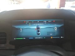 BYD Dolphin 2023 DM-i 1.5T 121km Premier - ფოტო 12