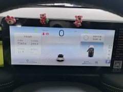 Geely Geometry E Firefly 401KM Thunder Tiger 4-Seater - ფოტო 12