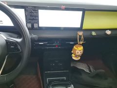 Geely Geometry E Firefly 401KM Thunder Tiger 4-Seater - ფოტო 13