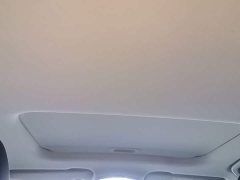 Geely Geometry E Firefly 401KM Thunder Tiger 4-Seater - ფოტო 18