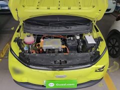 Geely Geometry E Firefly 401KM Thunder Tiger 4-Seater - ფოტო 20