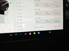 Tesla Model Y Long Range All-Wheel Drive - ფოტო 12