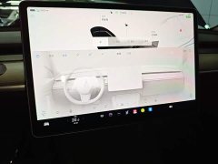 Tesla Model Y Long Range All-Wheel Drive - ფოტო 13