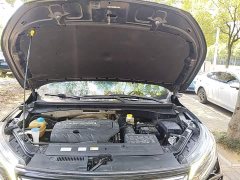GAC Aion GS4 270T Automatic Smart Connected Technology Edition - ფოტო 20