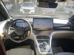 BYD Song Pro New Energy DM-i 110km Flagship Pro - ფოტო 10