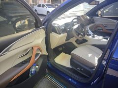 BYD Song Pro New Energy DM-i 110km Flagship Pro - ფოტო 16