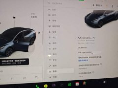 Tesla Model Y Long Range All-Wheel Drive - ფოტო 12
