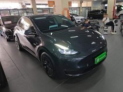 Tesla Model Y Long Range All-Wheel Drive - ფოტო 4