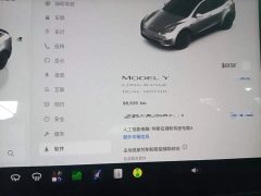 Tesla Model Y Long Range All-Wheel Drive - ფოტო 12