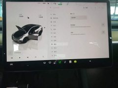 Tesla Model Y Long Range All-Wheel Drive - ფოტო 13