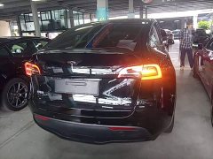 Tesla Model Y Long Range All-Wheel Drive - ფოტო 6