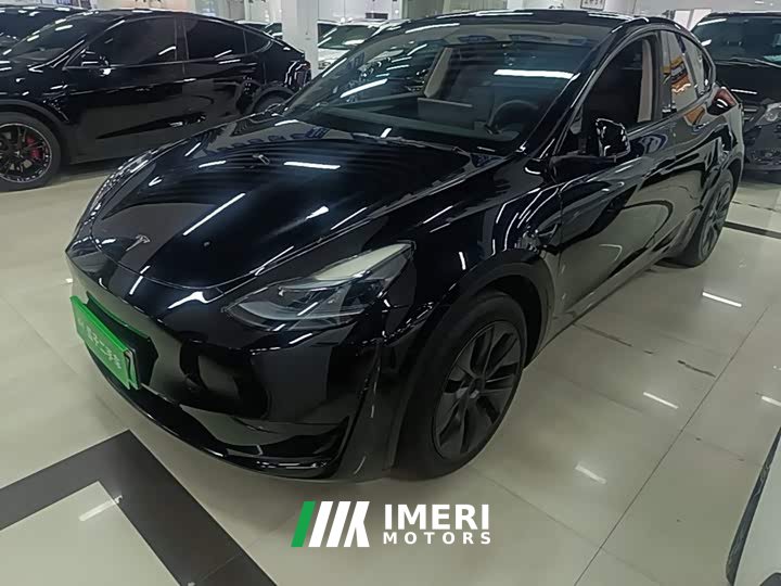 Tesla Model Y Rear-Wheel Drive