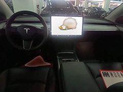 Tesla Model Y Rear-Wheel Drive - ფოტო 10