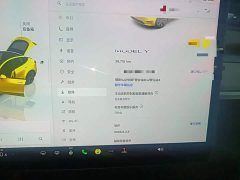 Tesla Model Y Rear-Wheel Drive - ფოტო 12
