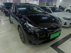 Tesla Model Y Rear-Wheel Drive - ფოტო 4