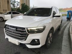 Haval H6 National Trend 1.5T Automatic Champion Edition - ფოტო 2