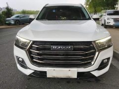 Haval H6 National Trend 1.5T Automatic Champion Edition - ფოტო 3
