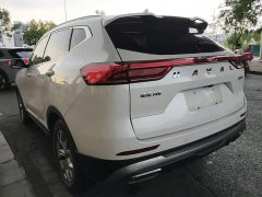 Haval H6 National Trend 1.5T Automatic Champion Edition - ფოტო 5
