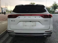 Haval H6 National Trend 1.5T Automatic Champion Edition - ფოტო 6