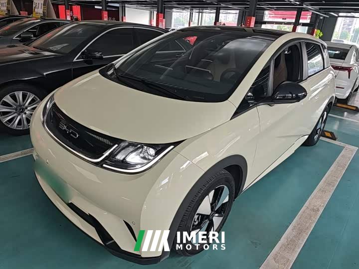 BYD Dolphin 2023 420km Fashion Edition - ავტომობილი ჩინეთიდან