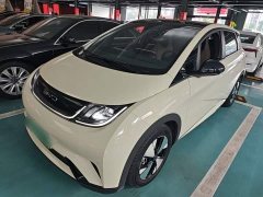 BYD Dolphin 2023 420km Fashion Edition - ფოტო 1
