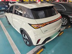 BYD Dolphin 2023 420km Fashion Edition - ფოტო 5