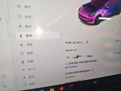 Tesla Model 3 Rear-Wheel Drive - ფოტო 12