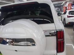 Tank 500 New Energy Hi4-Z - ფოტო 7