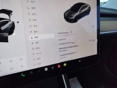 Tesla Model 3 2020 Facelift Standard Range RWD Upgrade - ფოტო 12