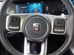 Tank 300 Off-Road Edition 2.0T Conqueror - ფოტო 11