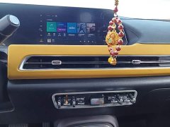 ORA Good Cat GT 2023 Mulan Edition 401km Prestige - ფოტო 13