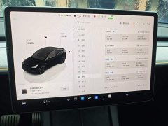 Tesla Model Y Long Range All-Wheel Drive - ფოტო 12