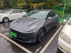 Tesla Model Y Long Range All-Wheel Drive - ფოტო 2