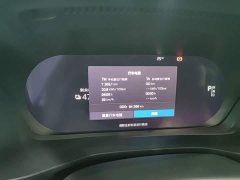 Volvo XC40 New Energy P8 Pure Electric AWD Smart Elegant Sport Edition - ფოტო 12