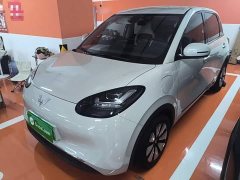 Wuling Binguo 333km Joy Edition - ფოტო 2