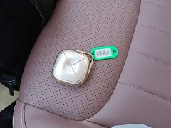 Wuling Binguo 333km Lingxi Connected Edition - ფოტო 9