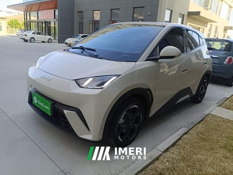 2025 BYD Seagull 405km Flying Edition - ავტომობილი ჩინეთიდან