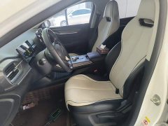 BYD Destroyer 05 Glory Edition DM-i 55KM Luxury - ფოტო 11