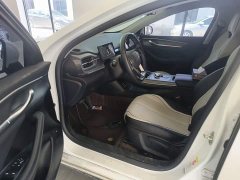 BYD Destroyer 05 Glory Edition DM-i 55KM Luxury - ფოტო 12