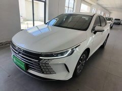 BYD Destroyer 05 Glory Edition DM-i 55KM Luxury - ფოტო 2