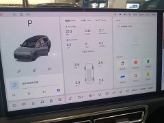 Li Auto L9 Max - ფოტო 12