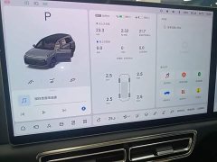 Li Auto L9 Max - ფოტო 13