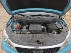 Geely Emgrand X3 PRO 1.5L CVT Luxury - ფოტო 20