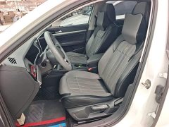 Volkswagen Lavida 2024 300TSI DSG Starry Sky Full-Featured Edition - ფოტო 15